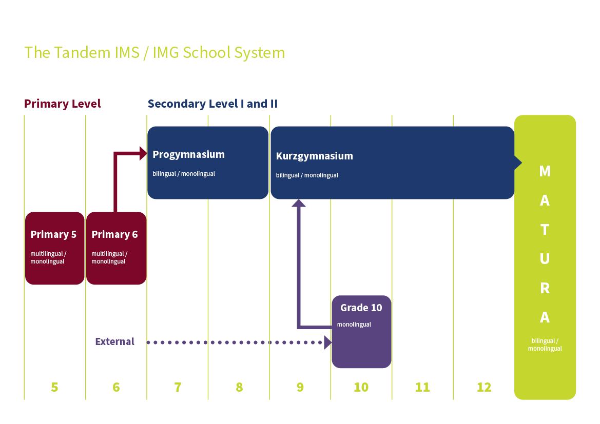 Grafik Primary-Secondary School_EN