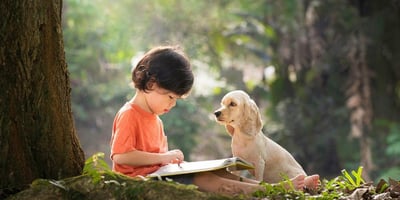 School Dog at Tandem International Multilingual School