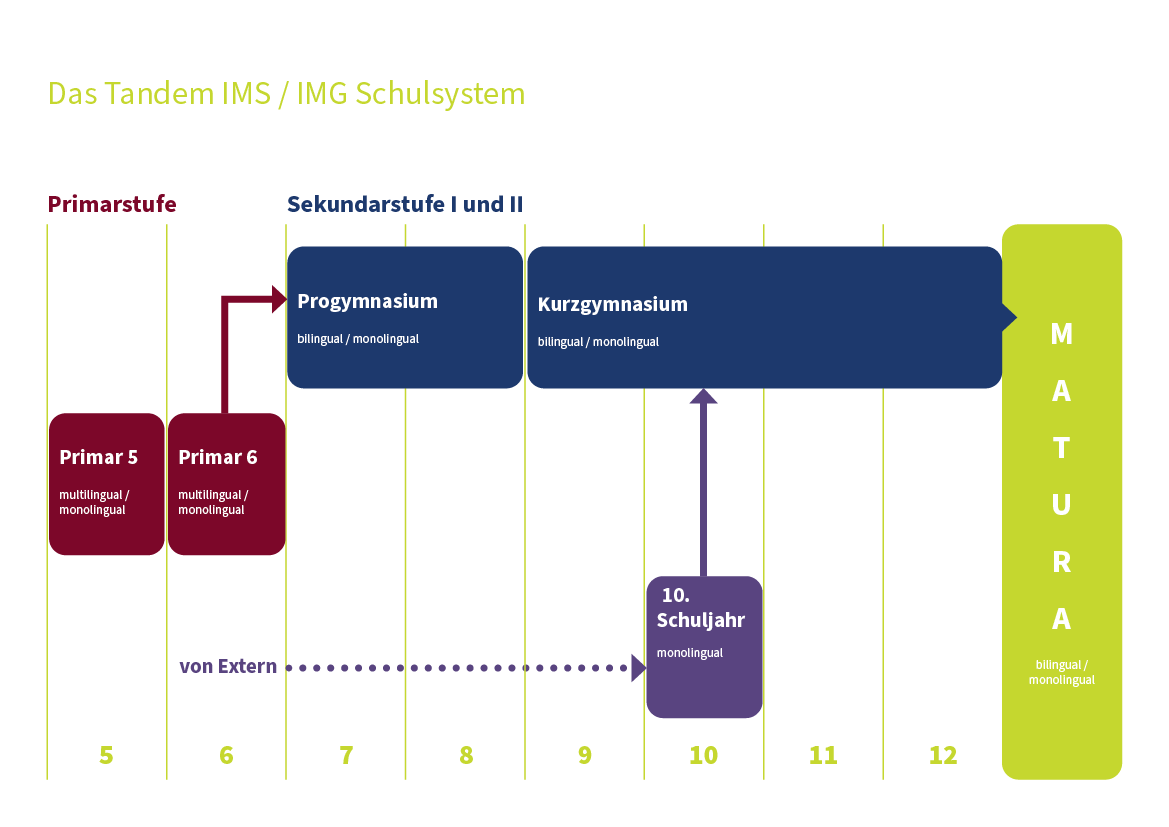 Grafik Primar-Sekundarstufe_DE Grafik Primar-Sekundarstufe_DE