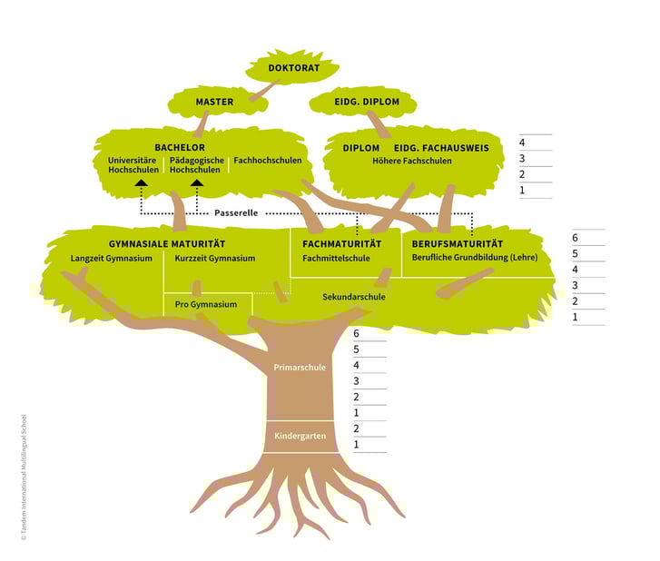 Infografik_bildung_ims_4000x3400px_sRGB_80-final version