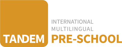 Our Schools Tandem Ims