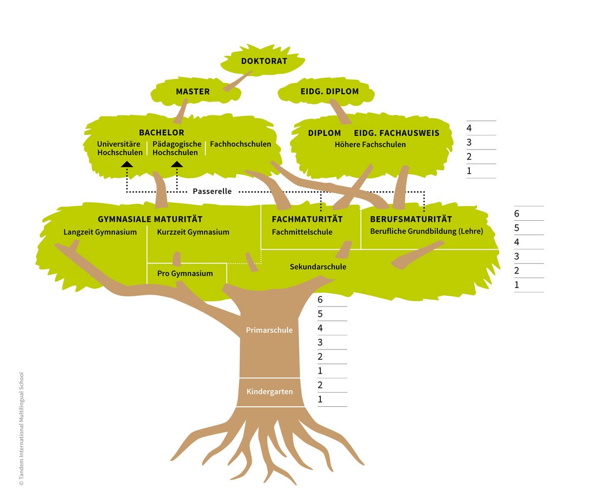 Swiss School System Infographic