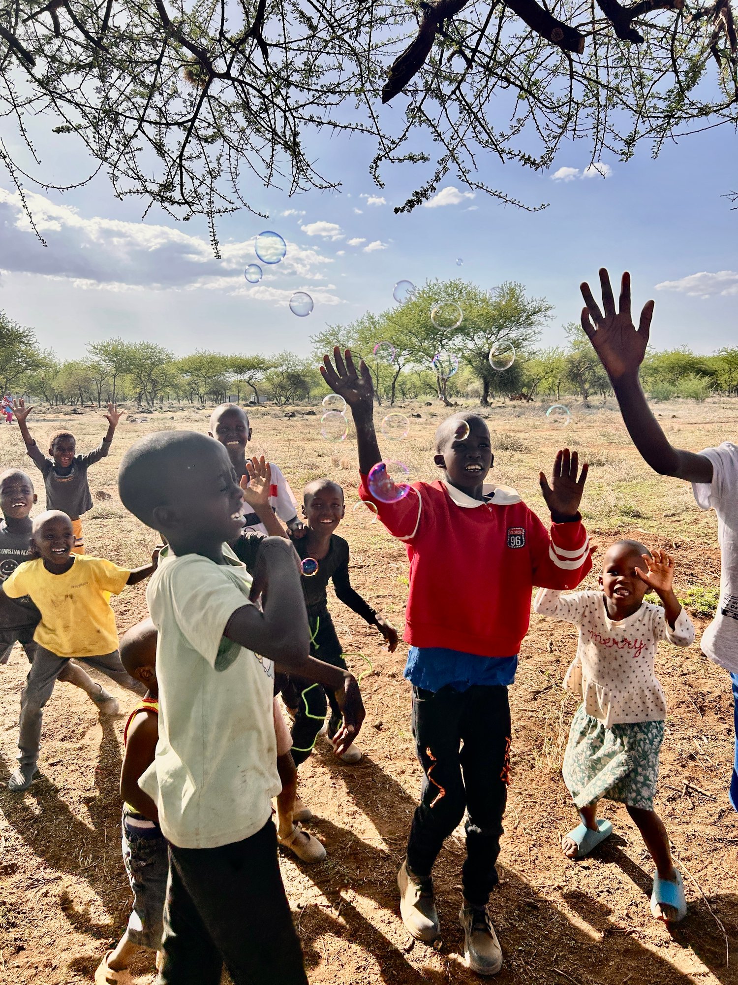 D679C492-4F31-489D-A10F-2727C3DD02D1_1_201_a