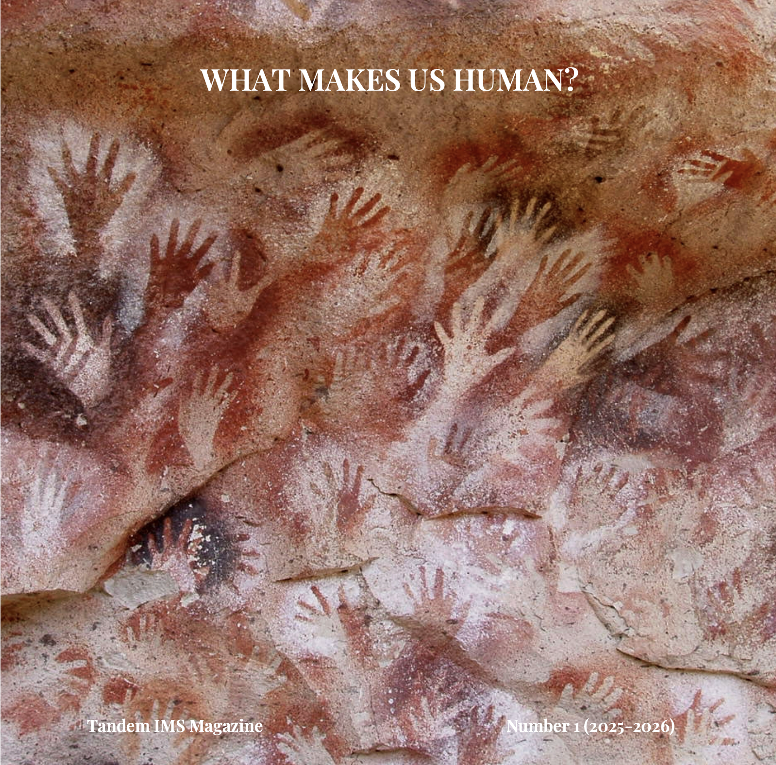 Bildschirmfoto 2026-04-13 um 19.56.30